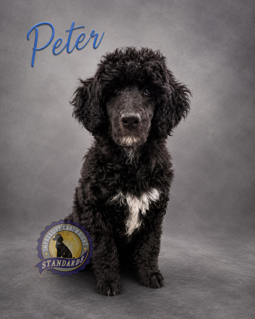 Cartwright’s Peter the Rock (Peter)