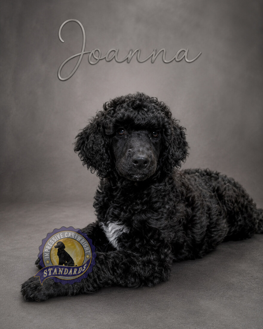 Cartwright’s Joanna of the Empty Tomb (Joanna)