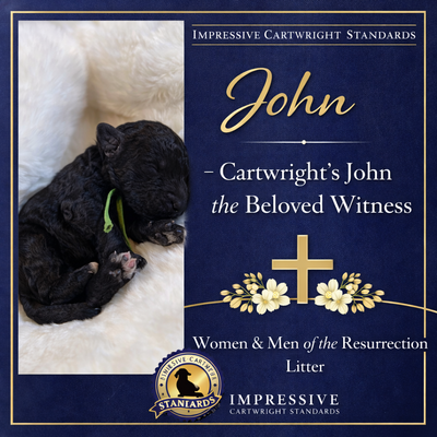 Cartwright’s John the Beloved (John)
