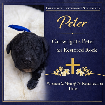 Cartwright’s Peter the Rock (Peter)
