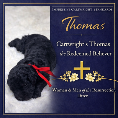 Cartwright’s Thomas the Faithful (Thomas)
