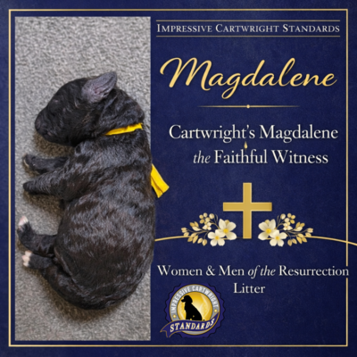 Cartwright’s Magdalene the Faithful Witness (Magdalene)