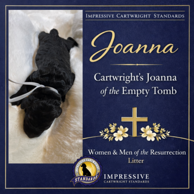 Cartwright’s Joanna of the Empty Tomb (Joanna)