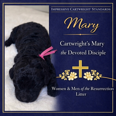 Cartwright’s Mary of the Resurrection (Mary)