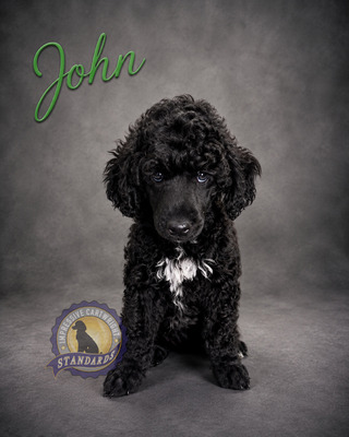 Cartwright’s John the Beloved (John)