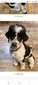 Huckabee Roscoe Thompson